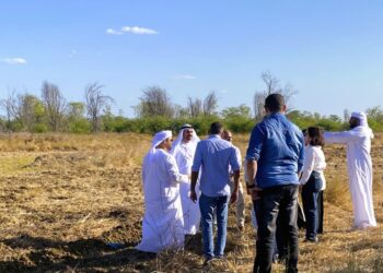 Comitiva árabe visita área de campo no estado da Bahia: parceria