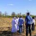 Comitiva árabe visita área de campo no estado da Bahia: parceria