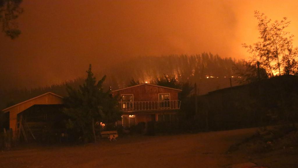 Incêndios florestais deixam seis mortos no Chile.