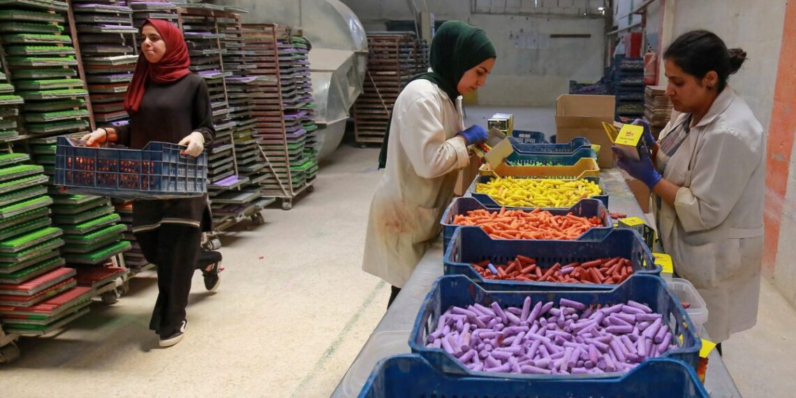 Mulheres trabalham em fábrica em Karak, ao sul da capital da Jordânia, Amã: economia resiliente, mas ameaçada por choques externos©Khalil Mazraawi/AFP
Mulheres trabalham em fábrica em Karak, ao sul da capital da Jordânia, Amã: economia resiliente, mas ameaçada por choques externos