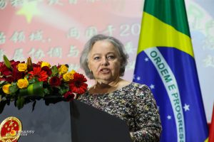 A Subsecretária-geral das Comunidades Brasileiras e de Assuntos Consulares e Jurídicos, Maria Dulce Barros