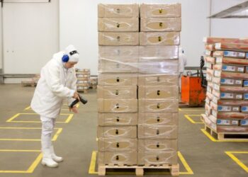 Carne bovina congelada foi o principal produto exportado para o Líbano até abril
