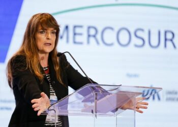 A embaixadora Gisela Padovan considera que as medidas, em votação hoje na União Europeia, podem prejudicar produtores brasileiros - (crédito: Marcelo Camargo/Agência Brasil)